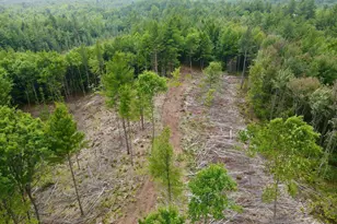 W4601 Olivotti Lake Rd, Irma, WI 54442 - Photo 42