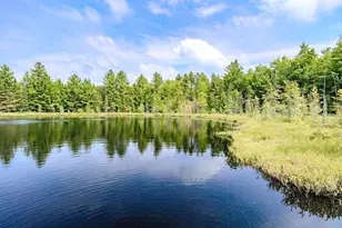 W4601 Olivotti Lake Rd, Irma, WI 54442 - Photo 30