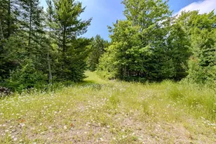 W4601 Olivotti Lake Rd, Irma, WI 54442 - Photo 38