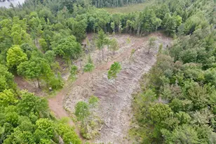 W4601 Olivotti Lake Rd, Irma, WI 54442 - Photo 40