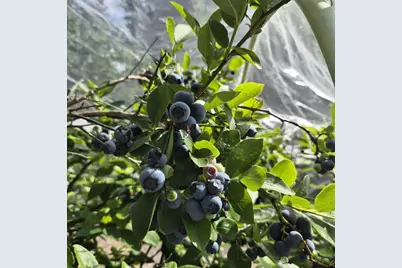 4802 Augustine Avenue, Weston, WI 54476 - Photo 24