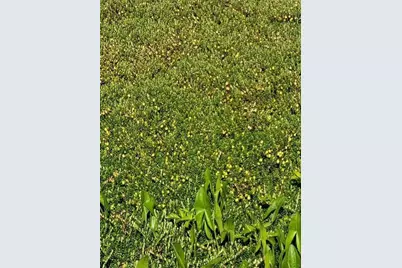 88 Mol County Road F, Necedah, WI 54646 - Photo 12