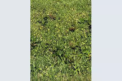 88 Acres Mol County Road F, Necedah, WI 54646 - Photo 12