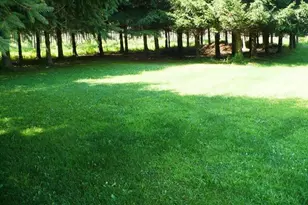 W9011 Blue Jay Rd, Willard, WI 54493 - Photo 24