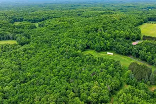 W11585 Brush Creek Rd, Medford, WI 54451 - Photo 38