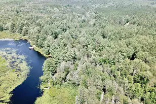 W8172 Somo Dam Dr, Tomahawk, WI 54487 - Photo 56