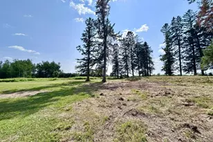 234788 Eau Claire River Rd, Aniwa, WI 54408 - Photo 42