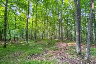 N13266 Hicks Landing Rd, Fifield, WI 54524 - Photo 56