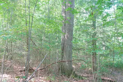 W2703 Rustic Road 1, Rib Lake, WI 54470 - Photo 22