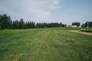 W14116 Mud Lake Dr, Lublin, WI 54447 - Photo 2