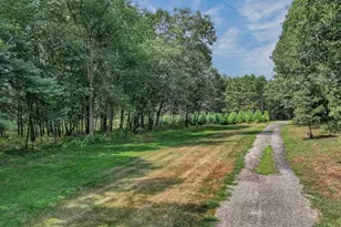 N8481 Kleba Rd, Hixton, WI 54635 - Photo 44