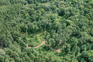 N8481 Kleba Rd, Hixton, WI 54635 - Photo 54