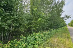 W1447 Spur Rd, Sheldon, WI 54766 - Photo 16