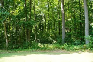 N11453 Wilderness Ave, Thorp, WI 54771 - Photo 4