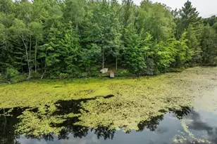 N7601 Centennial Dr, Deerbrook, WI 54424 - Photo 50
