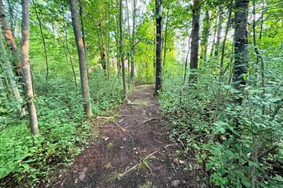 223820 Trail Road, Ringle, WI 54471 - Photo 28