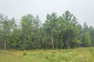 241474 Bungaloo Rd, Athens, WI 54411 - Photo 24
