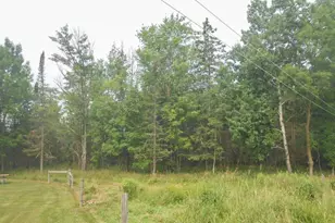 241474 Bungaloo Rd, Athens, WI 54411 - Photo 6