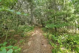 6900 Red Fox Trail, Stevens Point, WI 54482 - Photo 60