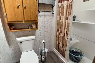 469 Sarah St, Birnamwood, WI 54414 - Photo 30