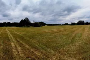 N7150 State Hwy 13, Phillips, WI 54555 - Photo 32