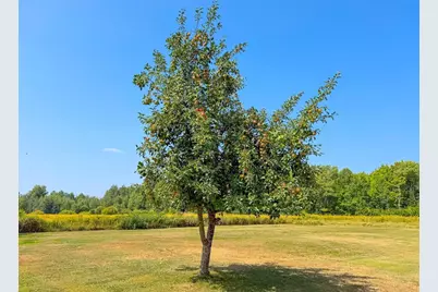 N3979 Oxbow Road, Catawba, WI 54516 - Photo 54