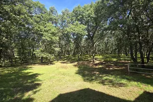 517 Regal Forest Trail, Nekoosa, WI 54457 - Photo 48