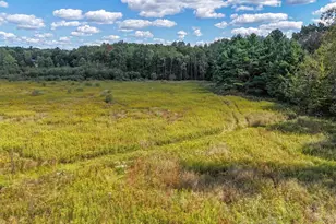 4461 County Road Q, Wisconsin Rapids, WI 54495 - Photo 52