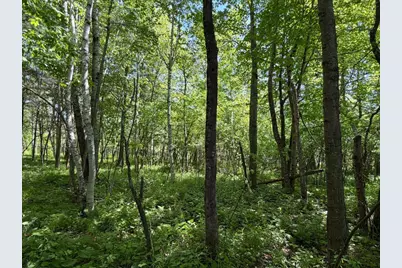 N9076 Bridge Road, Phillips, WI 54555 - Photo 60