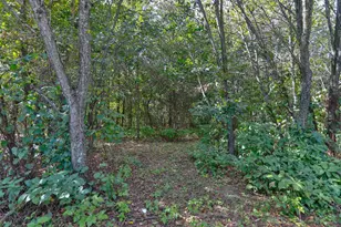 201740 Dorie Ln, Mosinee, WI 54455 - Photo 42