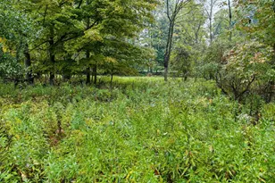 N7826 4th St, Eland, WI 54427 - Photo 50