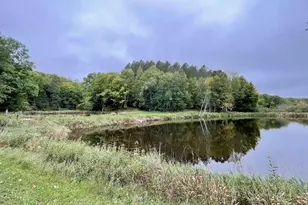 N9110 Meyer Dr, Westboro, WI 54490 - Photo 54