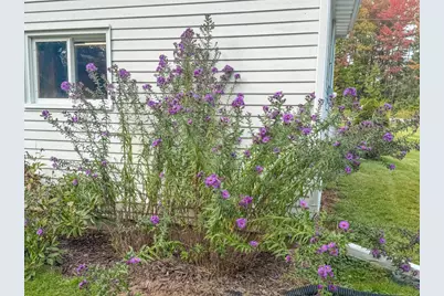 W6867 Cth D, Phillips, WI 54555 - Photo 22