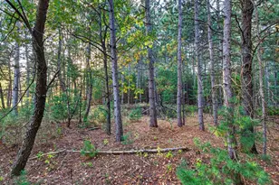 6311 Magnolia Dr, Wisconsin Rapids, WI 54494 - Photo 34