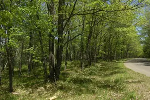 625X Iron Lake Rd, Iron River, WI 54847 - Photo 6