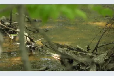 625X Iron Lake Rd, Iron River, WI 54847 - Photo 4