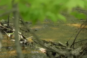 625X Iron Lake Rd, Iron River, WI 54847 - Photo 4