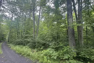 Lot 17 &amp 18 Sleepy Fawn Ln, Delta, WI 54847 - Photo 2