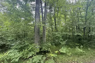 Lot 17 &amp 18 Sleepy Fawn Ln, Delta, WI 54847 - Photo 4