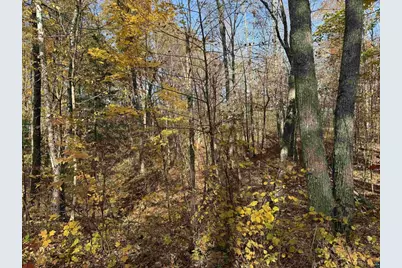 Lot 17 &amp; 18 Sleepy Fawn Ln, Delta, WI 54847 - Photo 6