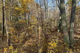 Lot 17 &amp 18 Sleepy Fawn Ln, Delta, WI 54847 - Photo 6