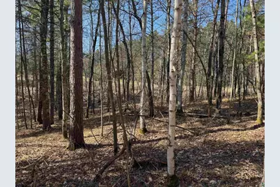 5 Acres On Spring Lake Rd, Trego, WI 54888 - Photo 12