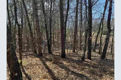 5 Acres On Spring Lake Rd, Trego, WI 54888 - Photo 8