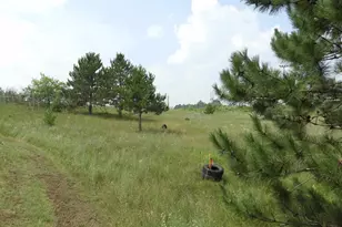 Xxxx Moon Dr, Iron River, WI 54847 - Photo 2