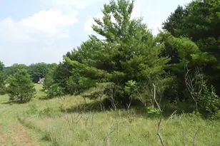 Xxxx Moon Dr, Iron River, WI 54847 - Photo 4