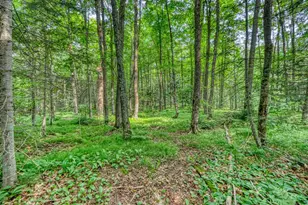 48400 Old Grade Rd, Cable, WI 54821 - Photo 42