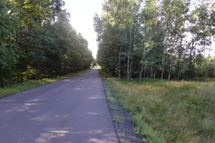 7581 S Marsik Rd, Lake Nebagamon, WI 54849 - Photo 2