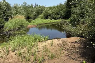 80 Acres County Hwy E, Hawthorne, WI 54842 - Photo 2