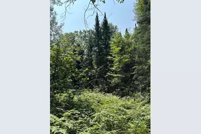 68 Acres County Hwy E, Hawthorne, WI 54842 - Photo 6