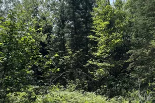 68 Acres County Hwy E, Hawthorne, WI 54842 - Photo 6